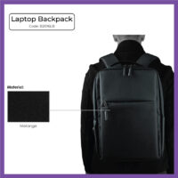 Laptop Backpack (B2016LB)