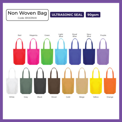 Non Woven Bag - Ultrasonic Seal (B1003NW) - Corporate Gift